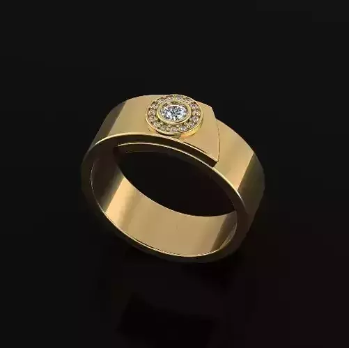 Ring Model 4904