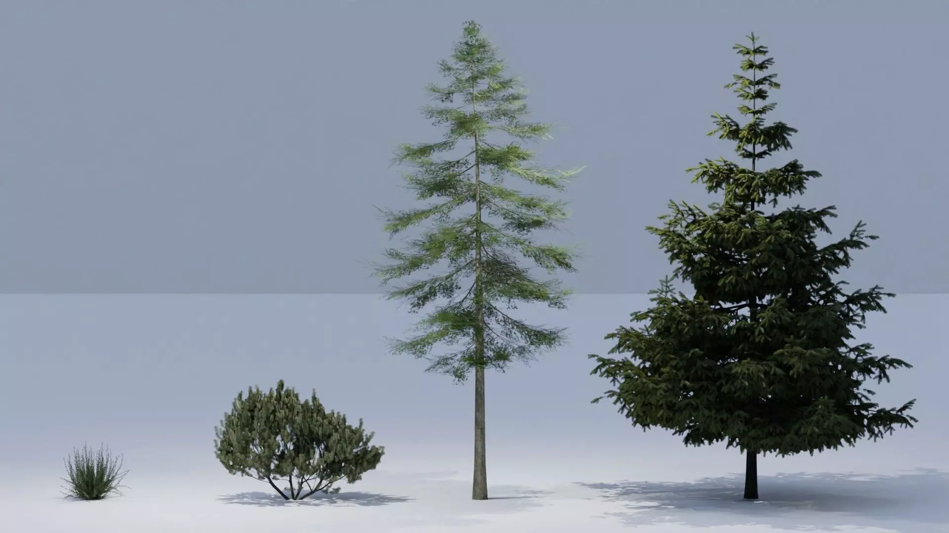 Forest Pack 3D model