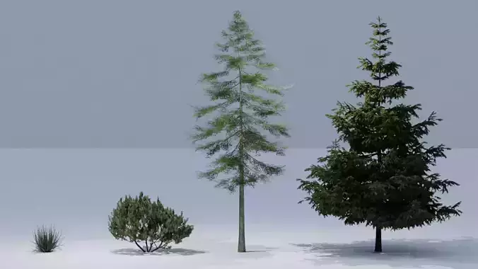 Forest Pack 3D model
