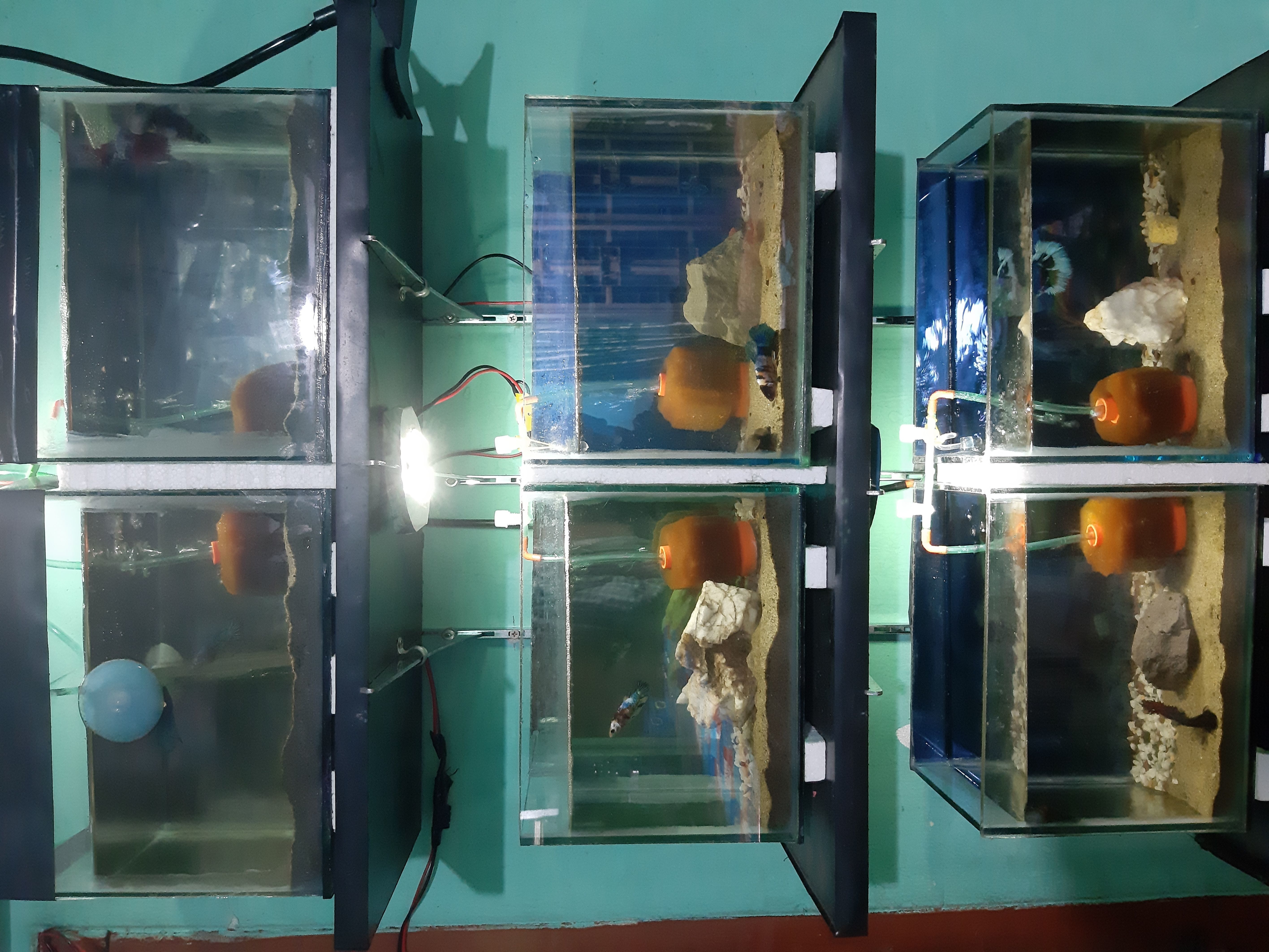 Foam Filter For Aquarium 3D print model_7