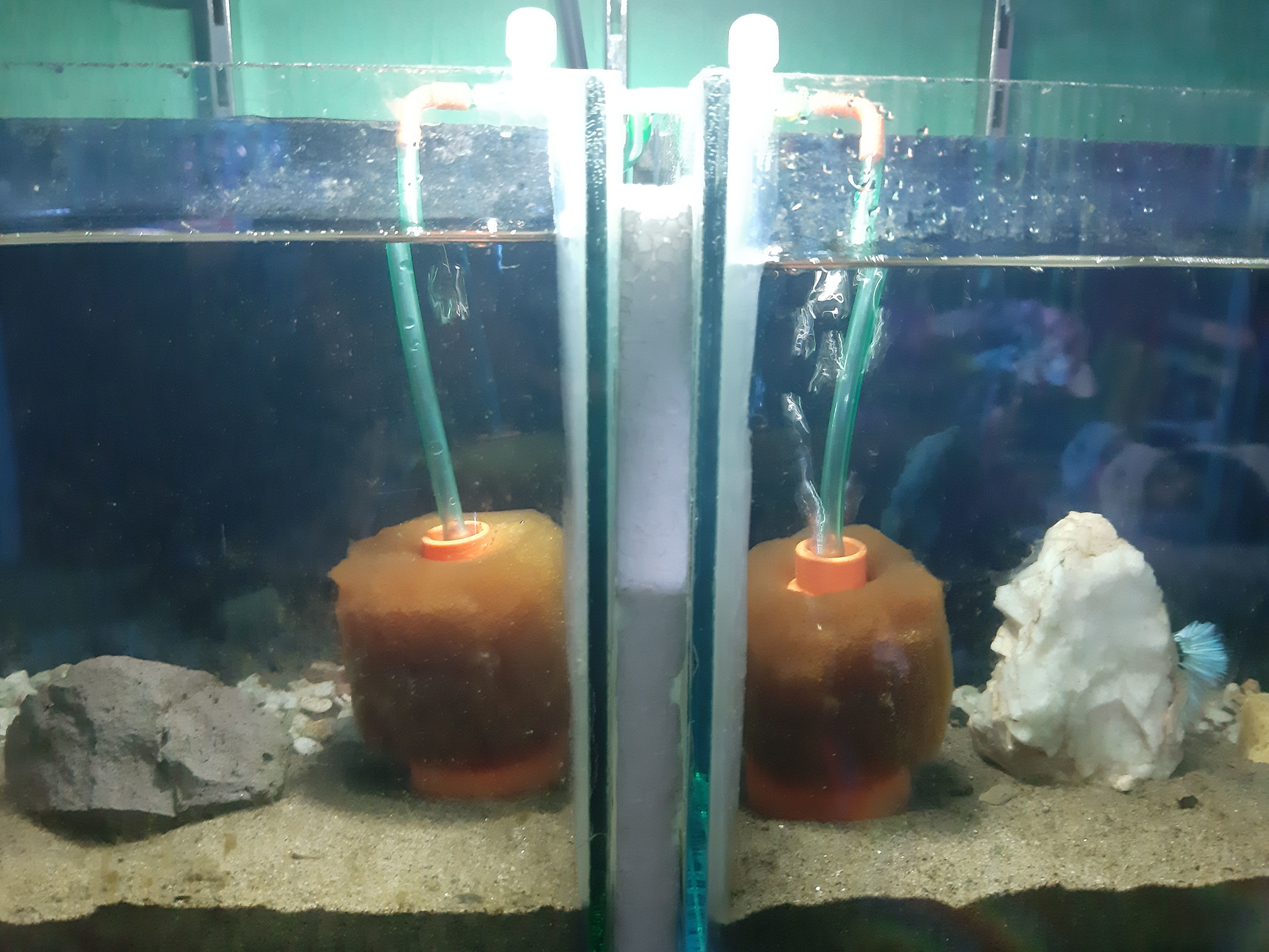 Foam Filter For Aquarium 3D print model_5