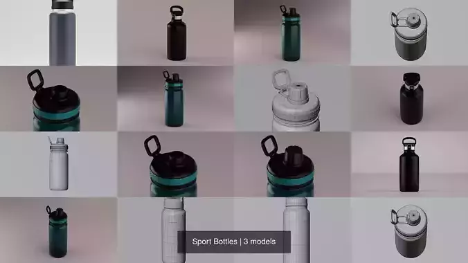 Sport Bottles 3D Model Collection