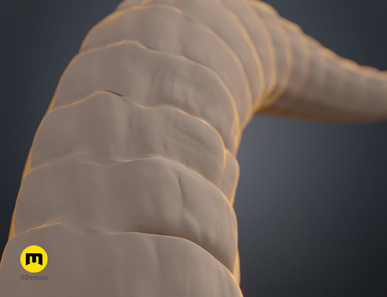 Beauty and the Beast horns 3D print model_5