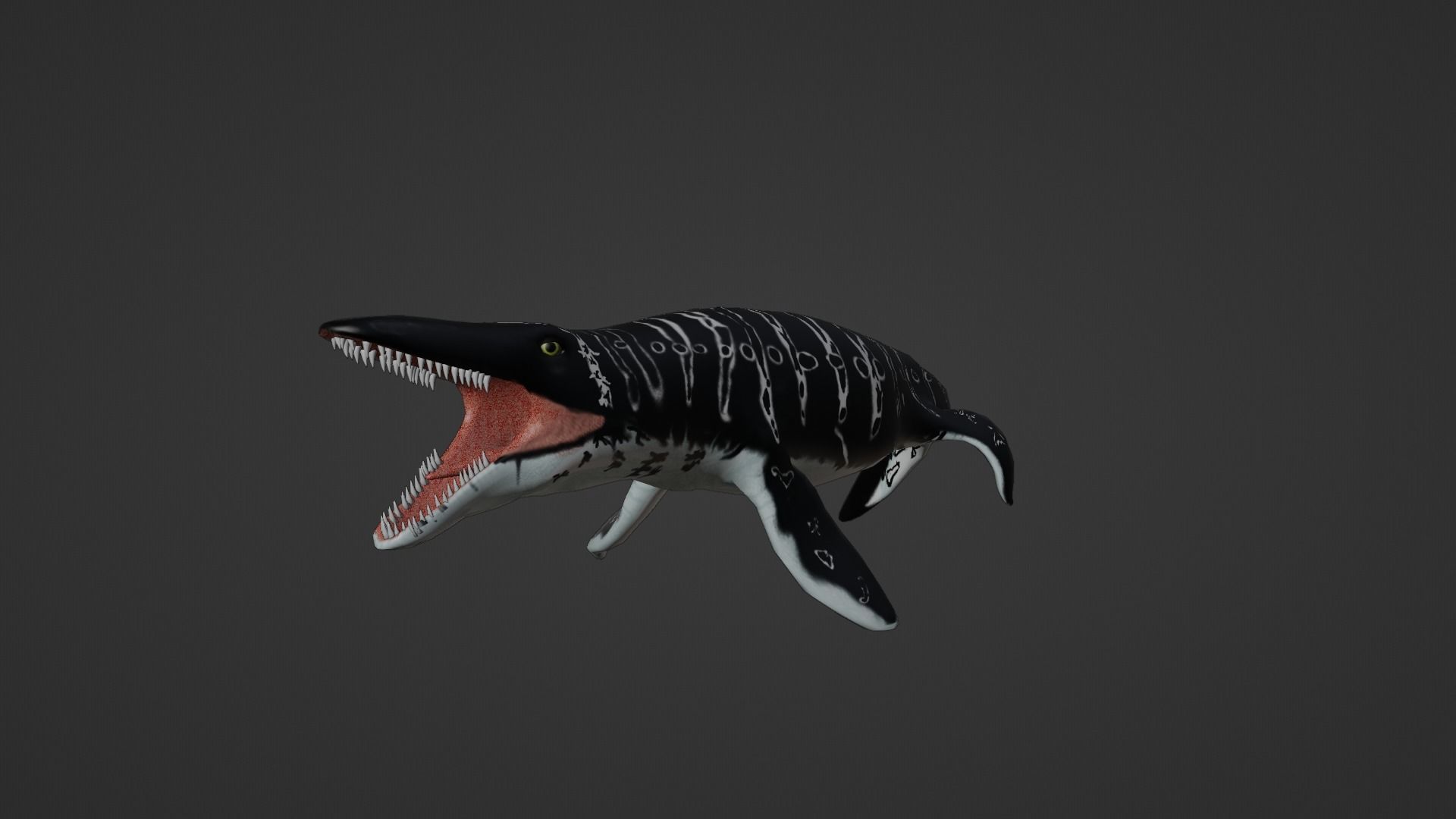 Mosasaurus Aquatic Dinosaur Reptile Low-poly 3D model_15