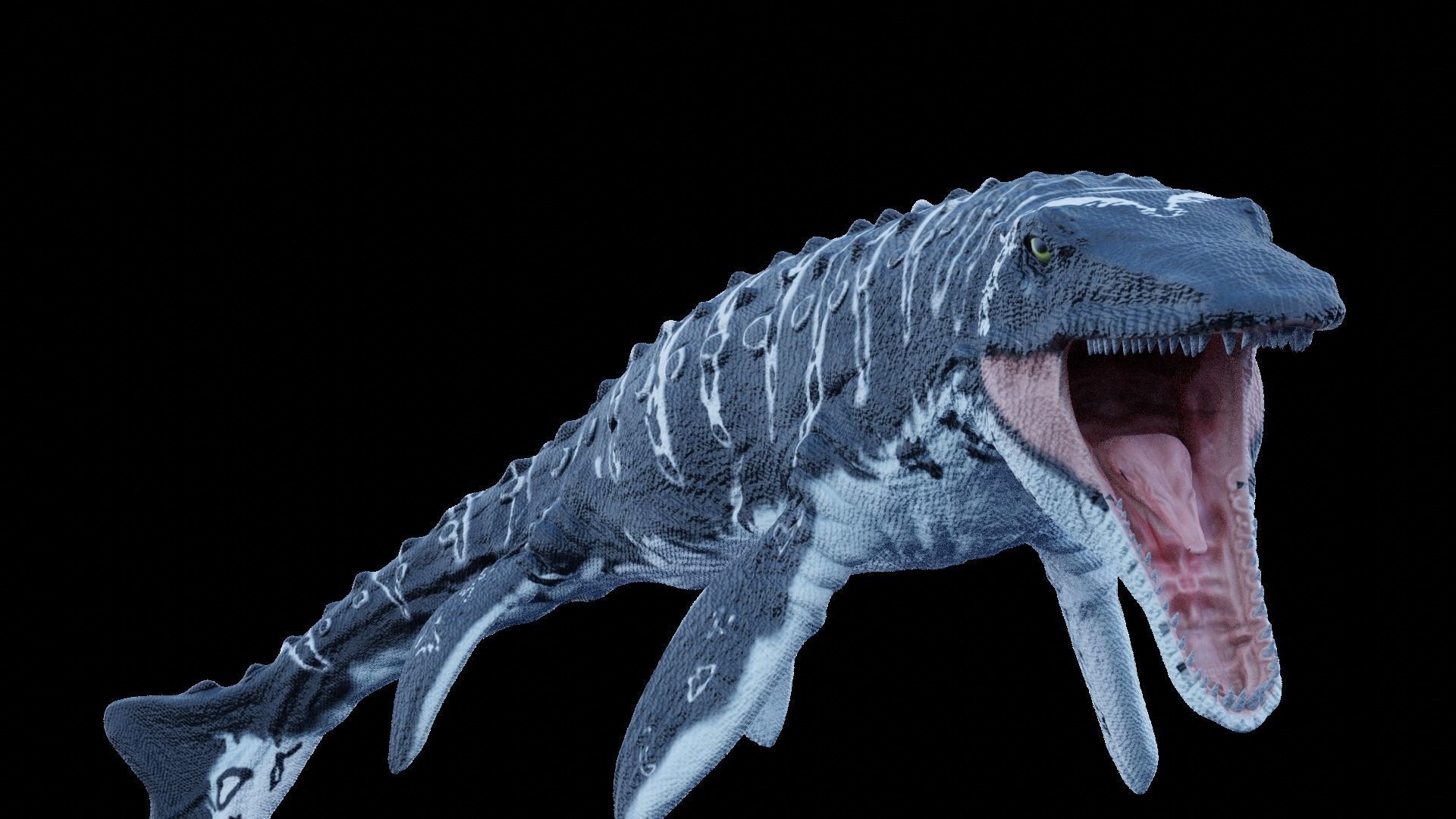Mosasaurus Aquatic Dinosaur Reptile Low-poly 3D model_11