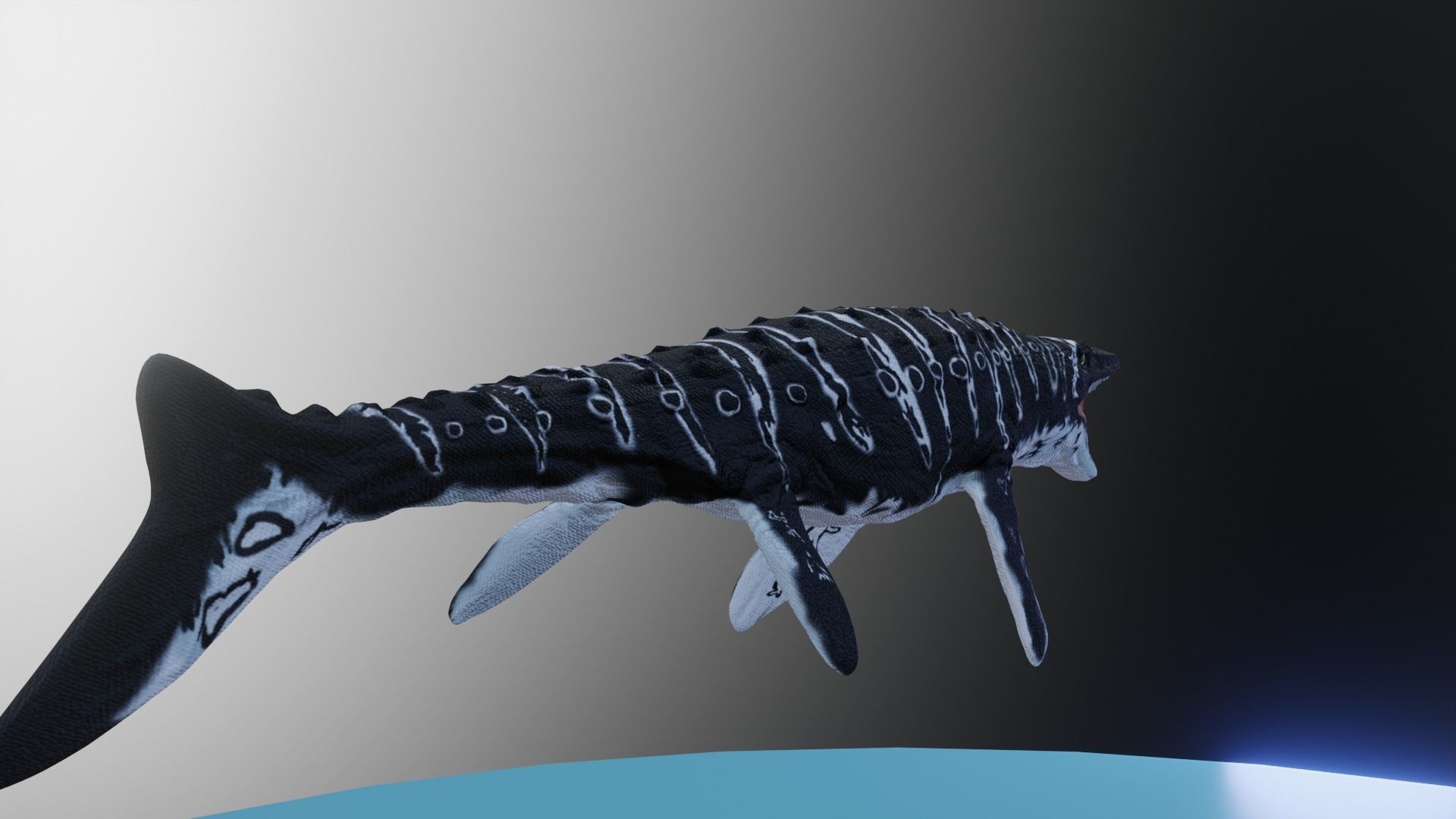 Mosasaurus Aquatic Dinosaur Reptile Low-poly 3D model_9