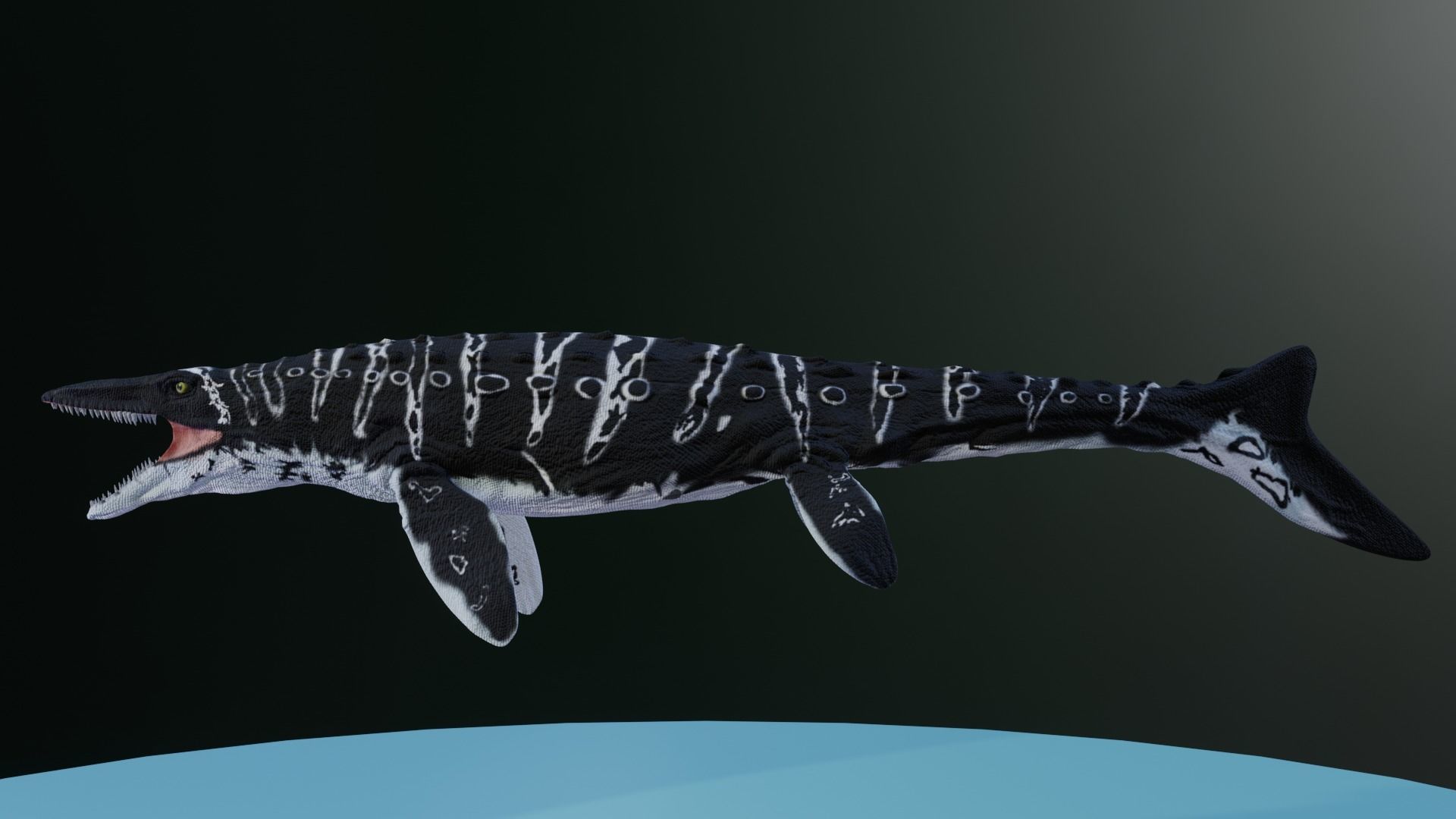 Mosasaurus Aquatic Dinosaur Reptile Low-poly 3D model_7