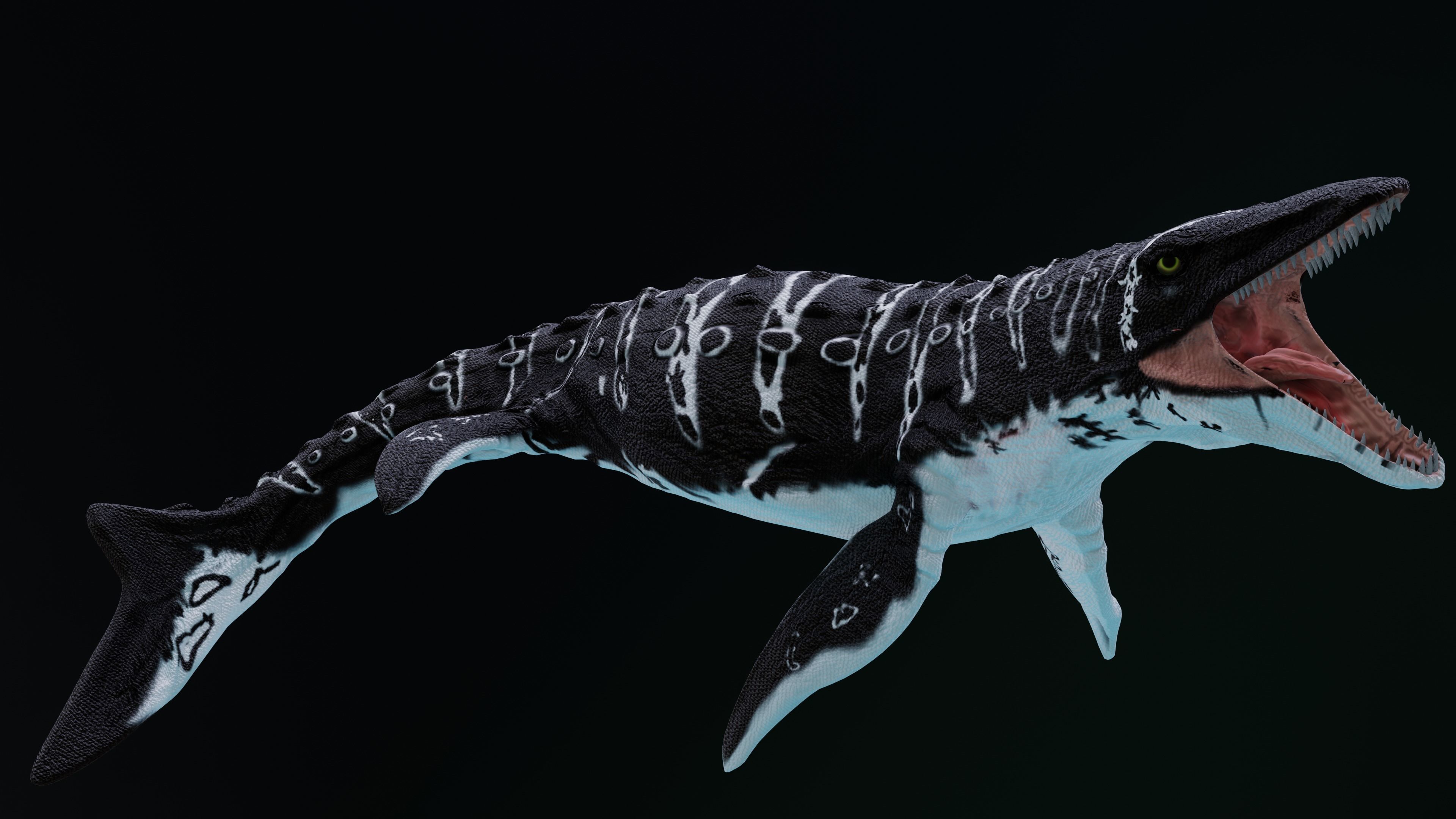 Mosasaurus Aquatic Dinosaur Reptile Low-poly 3D model_4