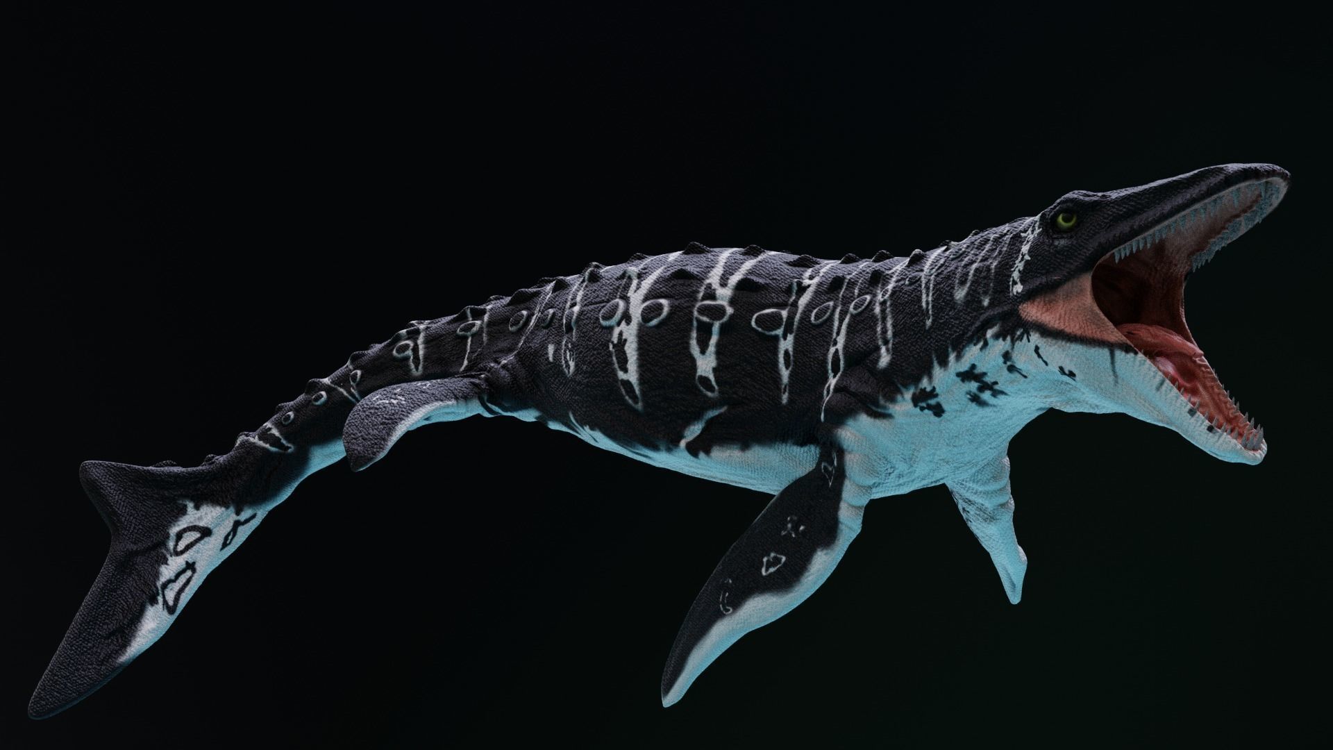 Mosasaurus Aquatic Dinosaur Reptile Low-poly 3D model_5