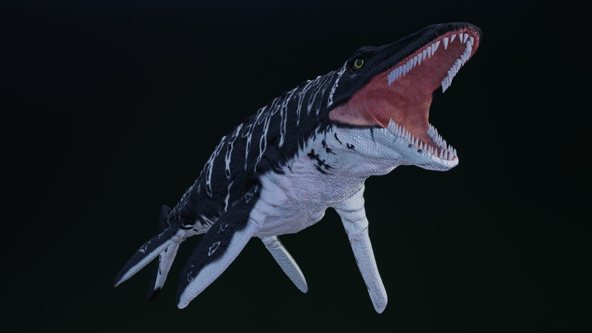 Mosasaurus Aquatic Dinosaur Reptile Low-poly 3D model_10