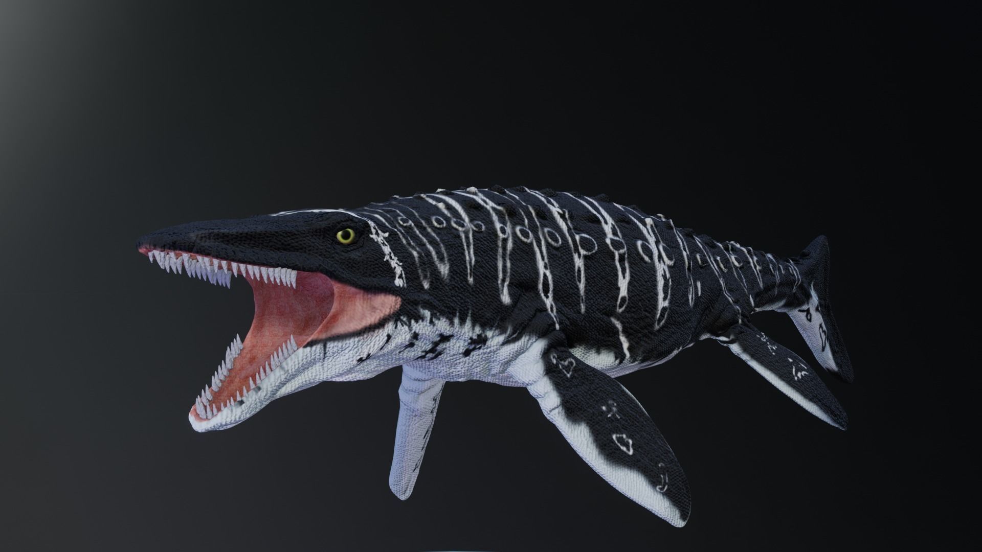Mosasaurus Aquatic Dinosaur Reptile Low-poly 3D model_8