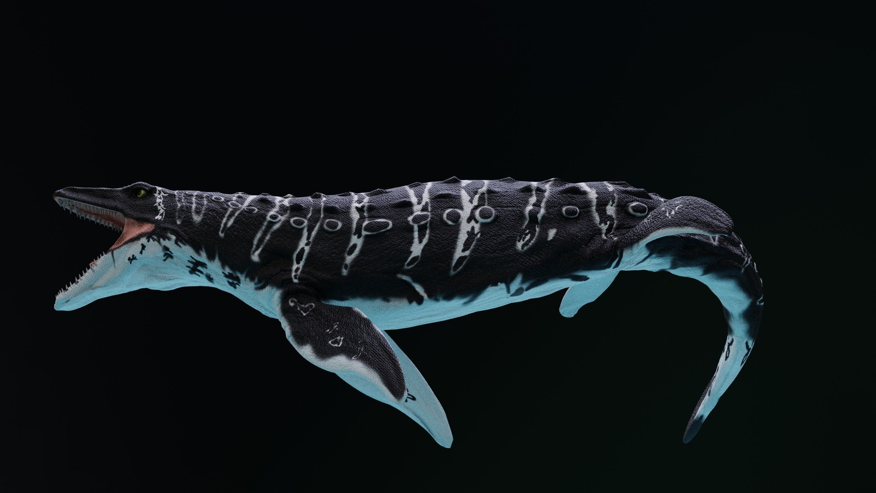 Mosasaurus Aquatic Dinosaur Reptile Low-poly 3D model_6