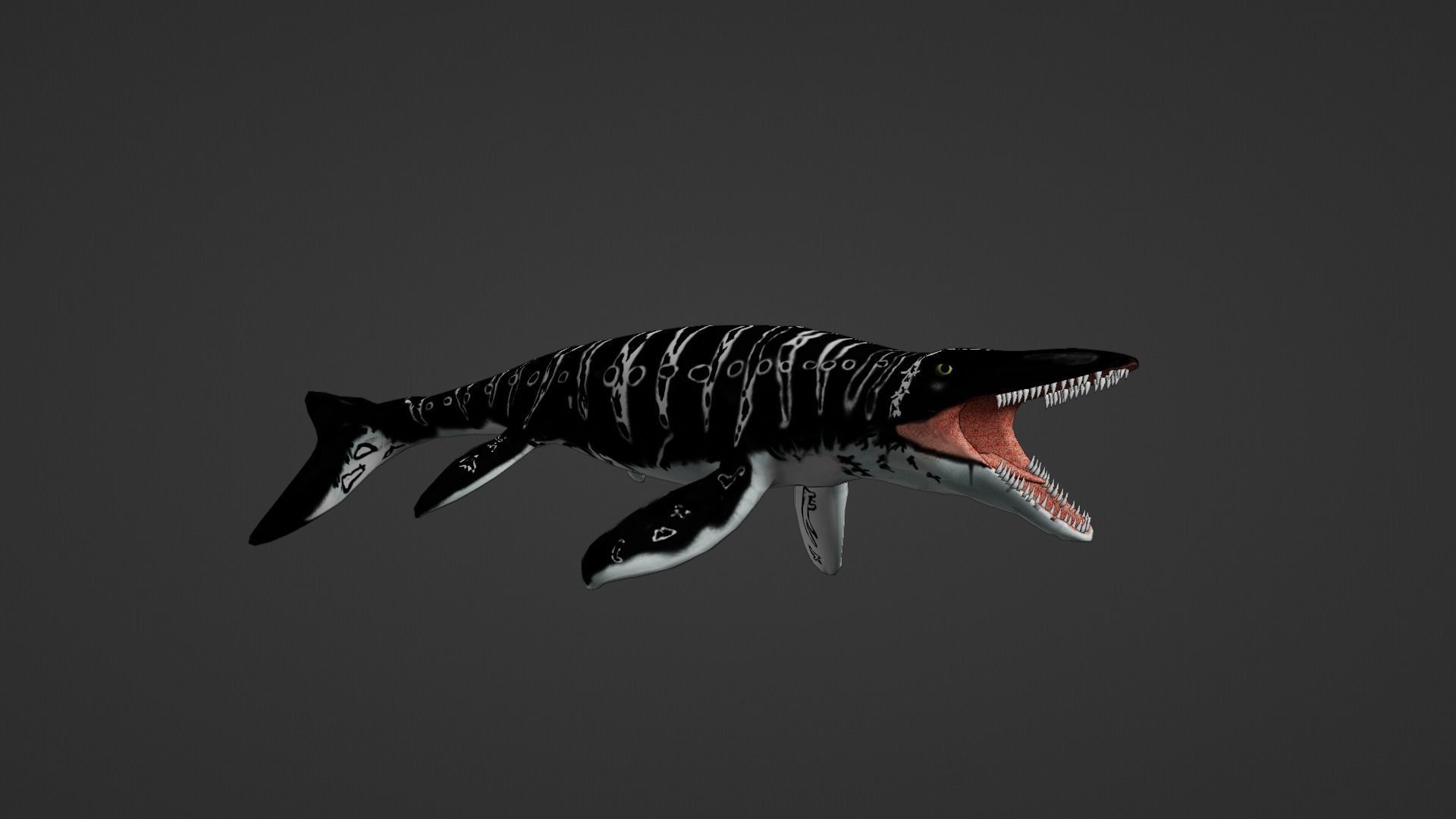 Mosasaurus Aquatic Dinosaur Reptile Low-poly 3D model_16
