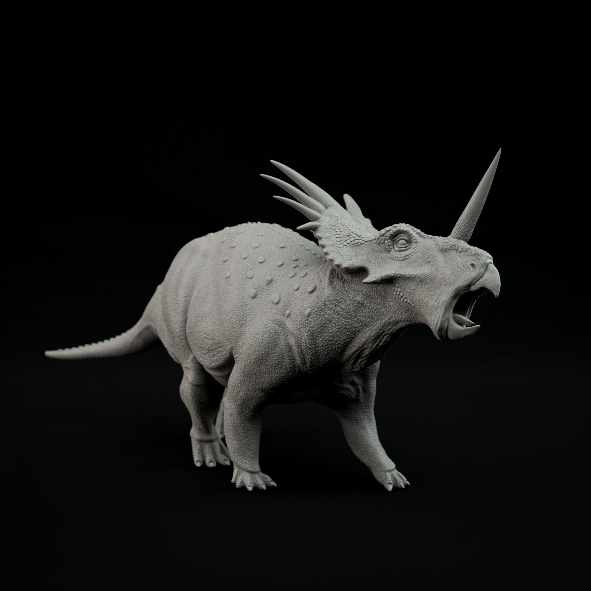Styracosaurus roaring 1-35 scale pre-supported 3D print model_2