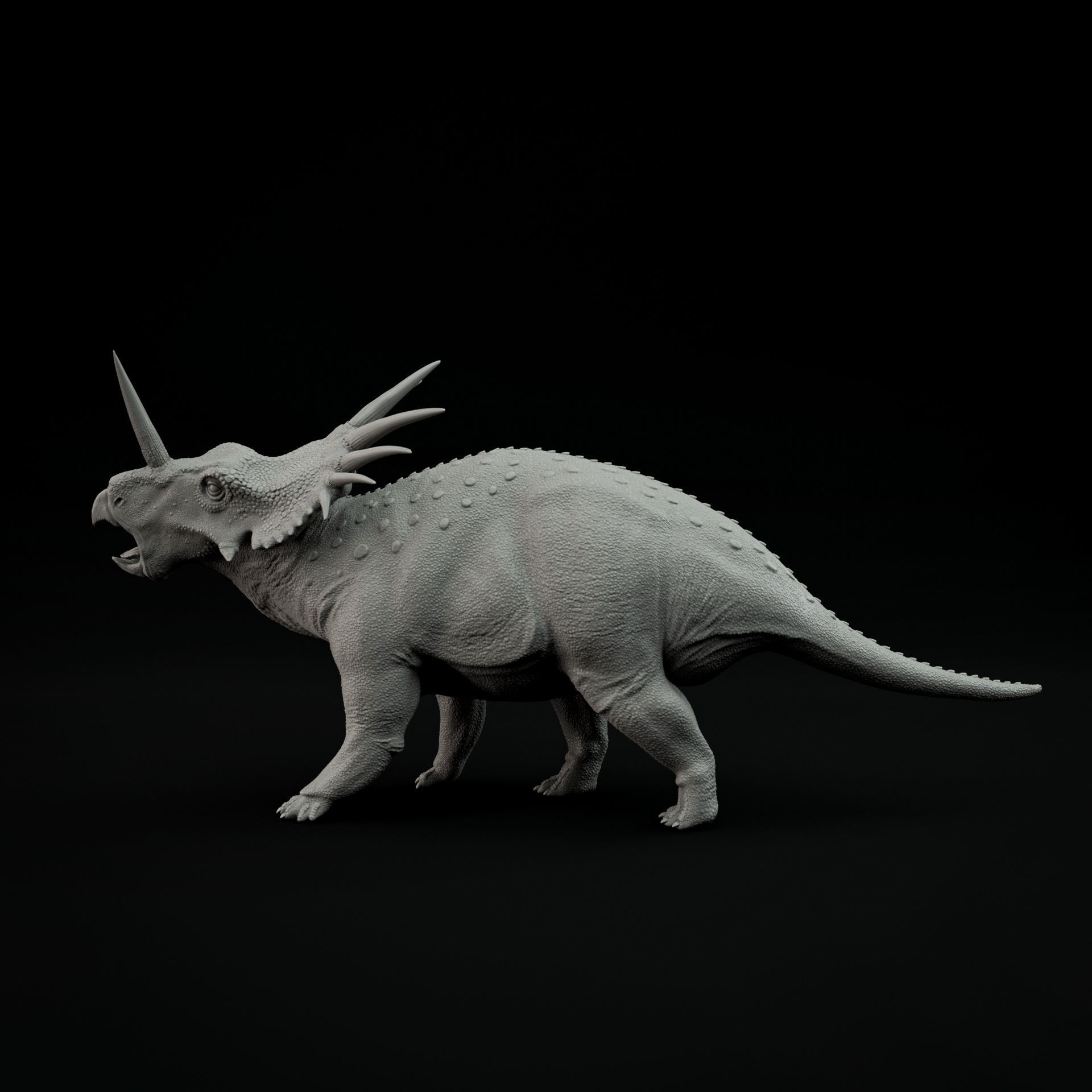 Styracosaurus roaring 1-35 scale pre-supported 3D print model_1