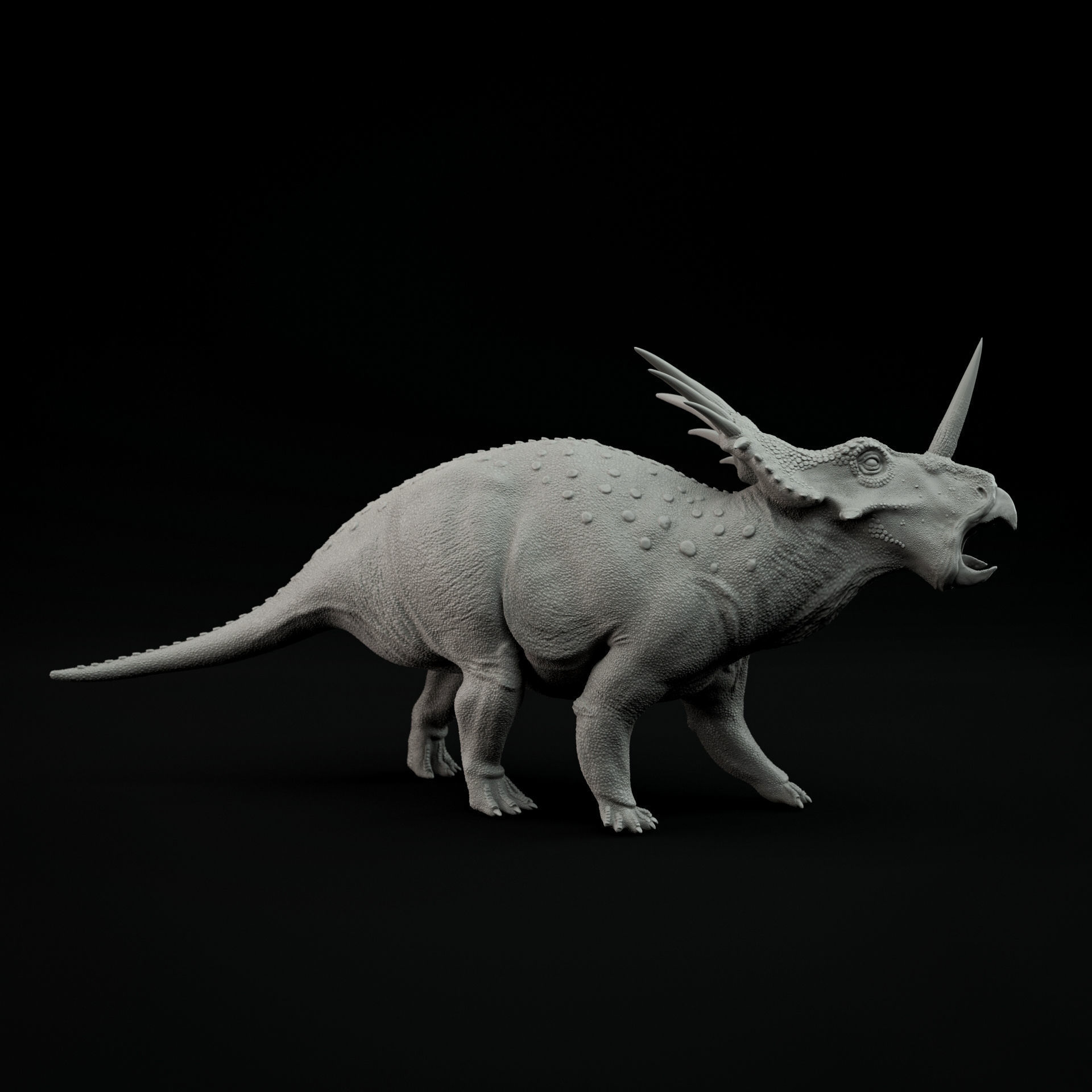 Styracosaurus roaring 1-35 scale pre-supported 3D print model_3