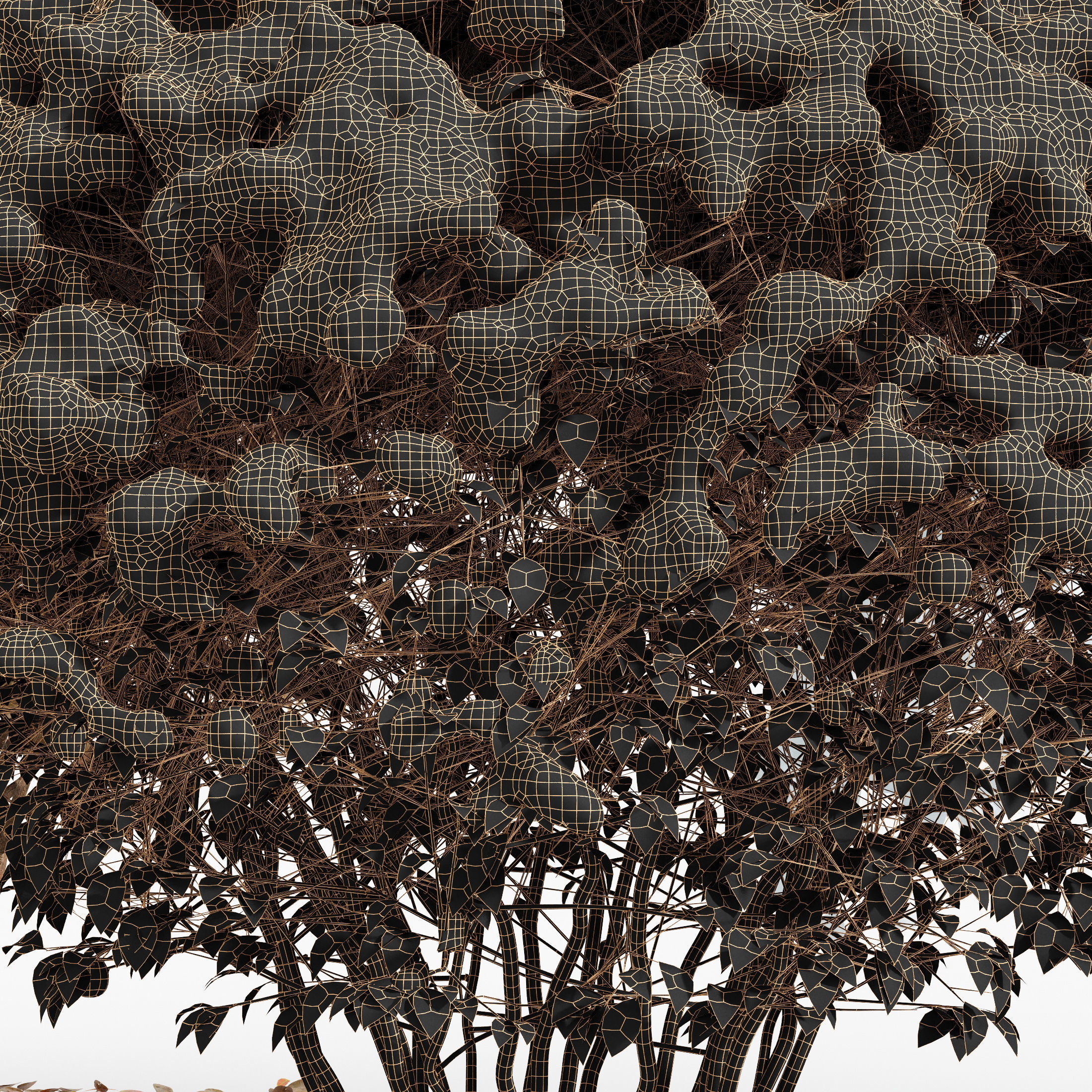 Dwarf Yaupon Holly Box Spherical Cone Winter 02 Free 3D model_4