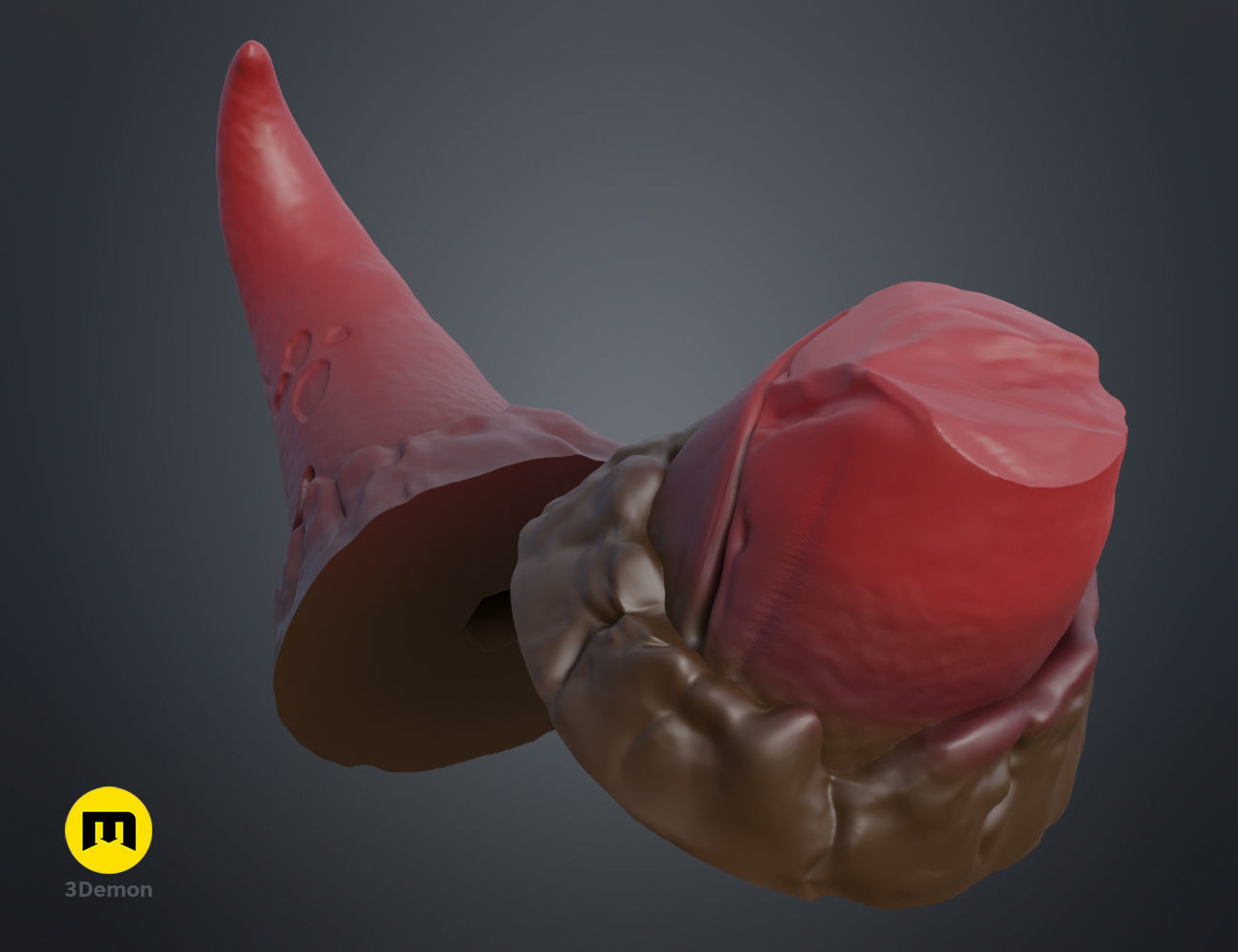 Broken horns 3D print model_6