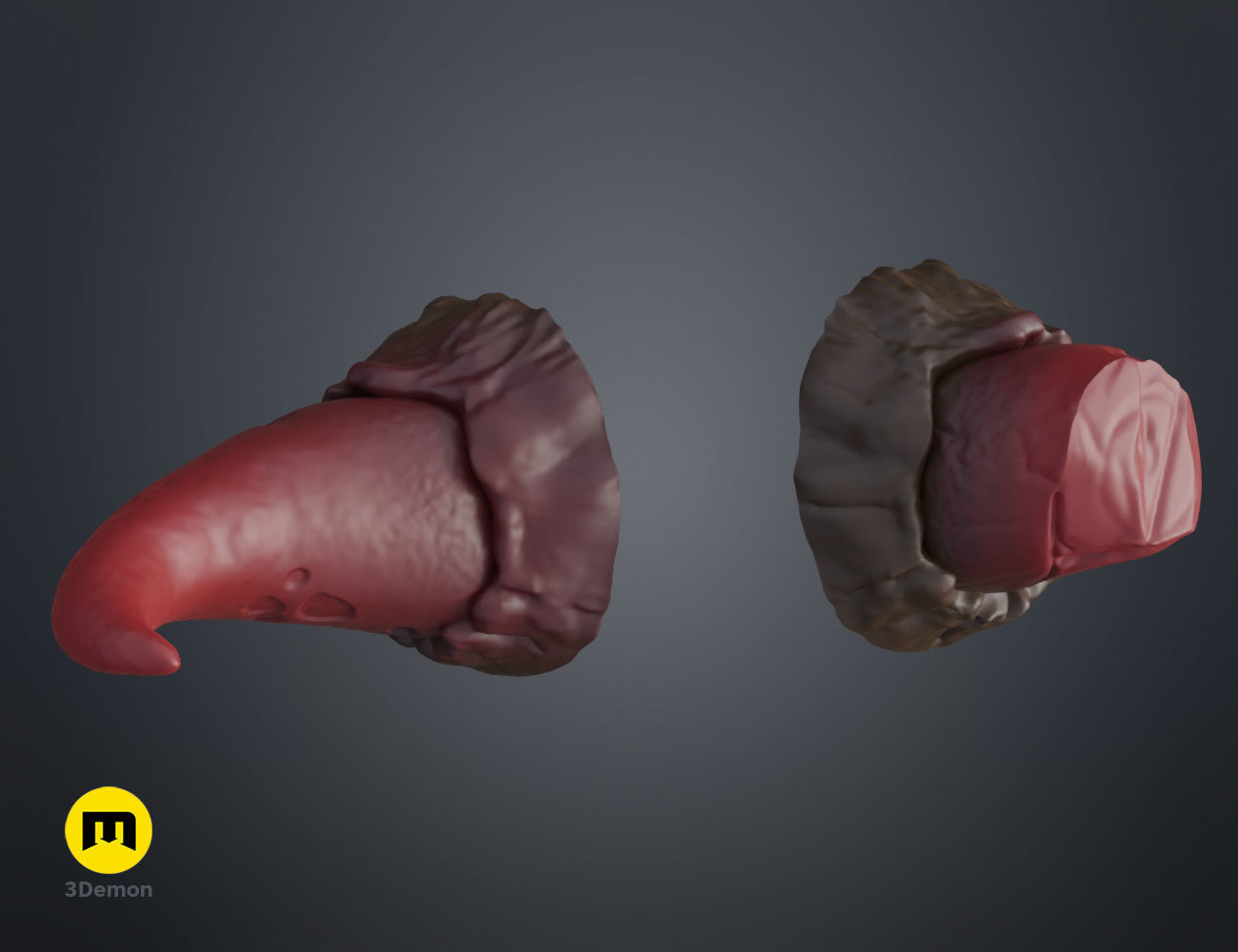 Broken horns 3D print model_9