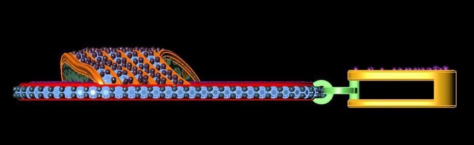 Slipper necklace 3D print model_11