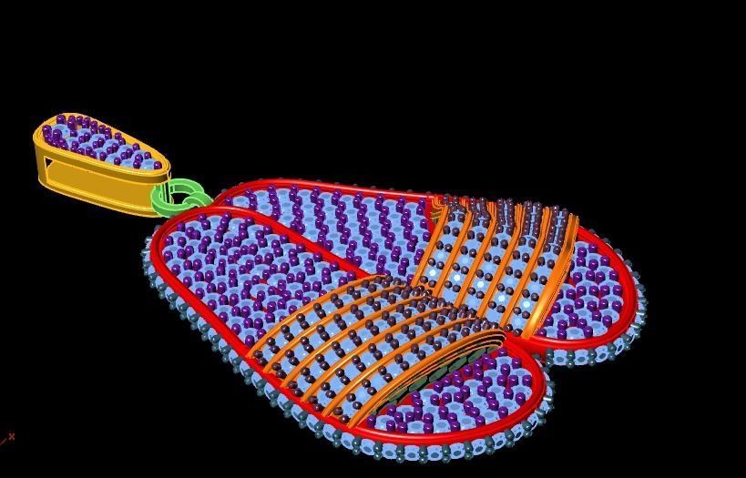 Slipper necklace 3D print model_12