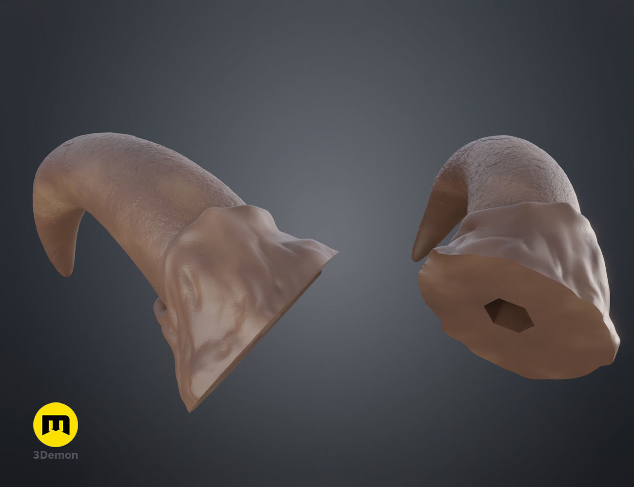 Succubus horns 3D print model_15