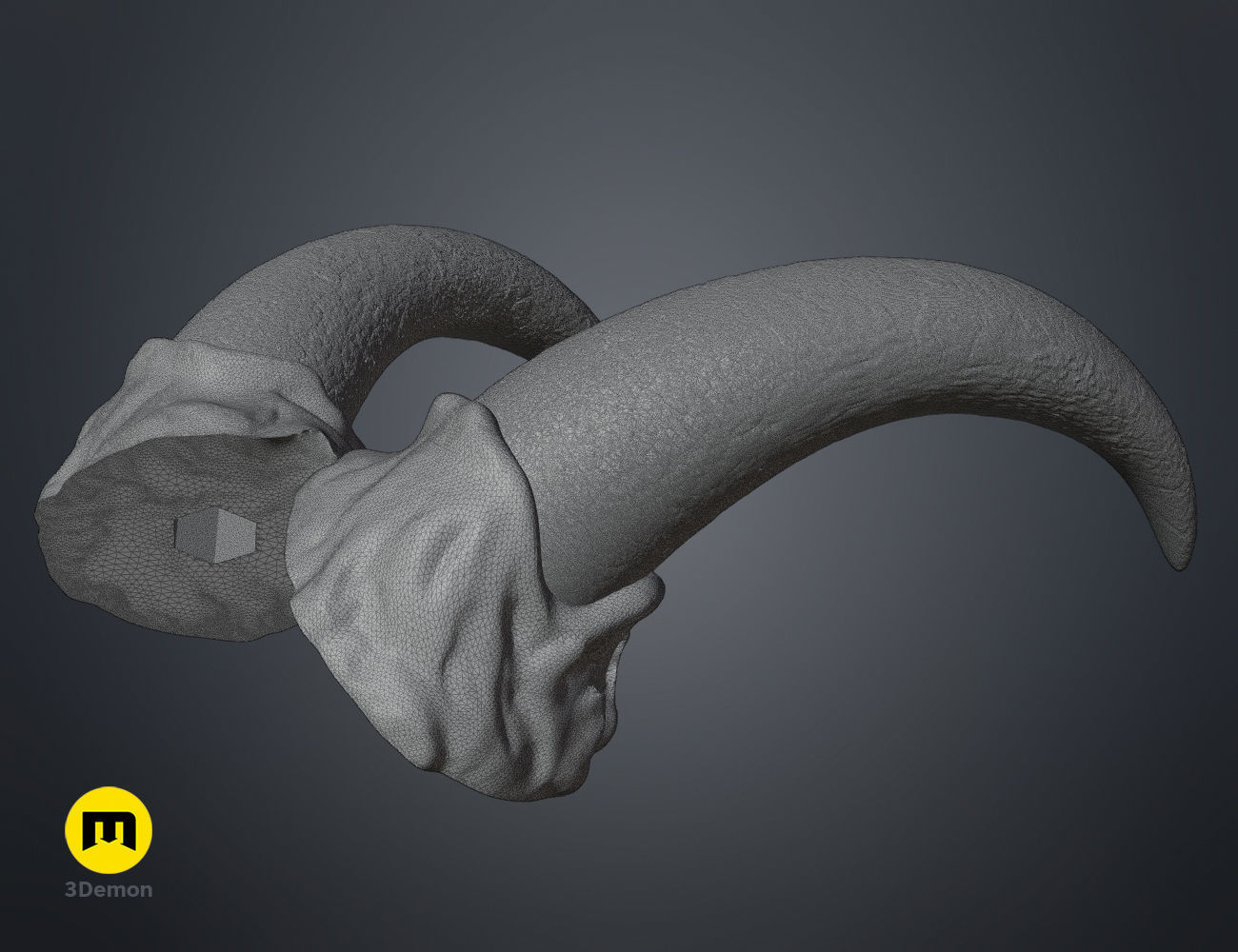 Succubus horns 3D print model_16