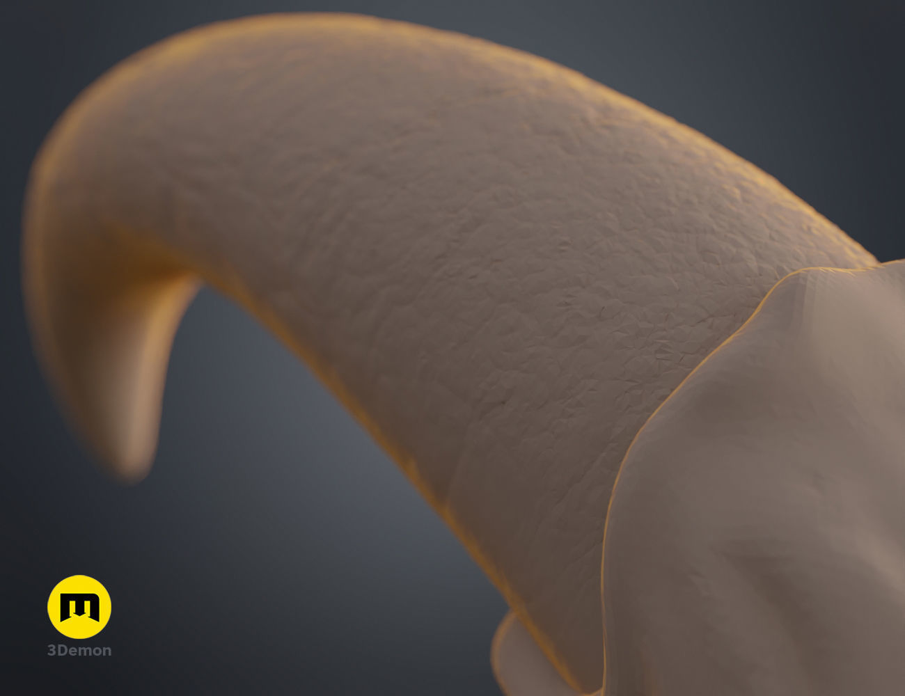 Succubus horns 3D print model_5