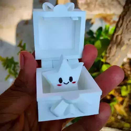 Christmas Special - Star Gift Box 3D print model