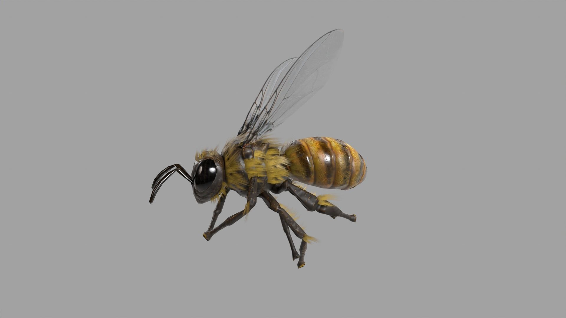 Bee lowpoly Low-poly 3D model_1