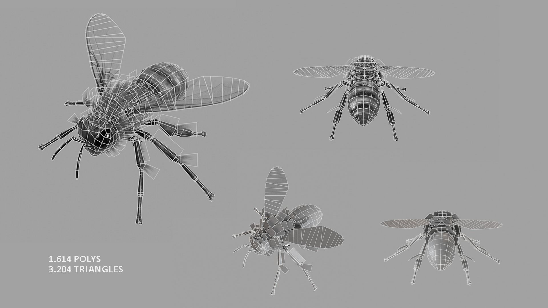 Bee lowpoly Low-poly 3D model_5