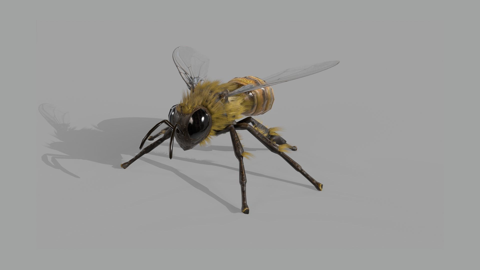 Bee lowpoly Low-poly 3D model_3