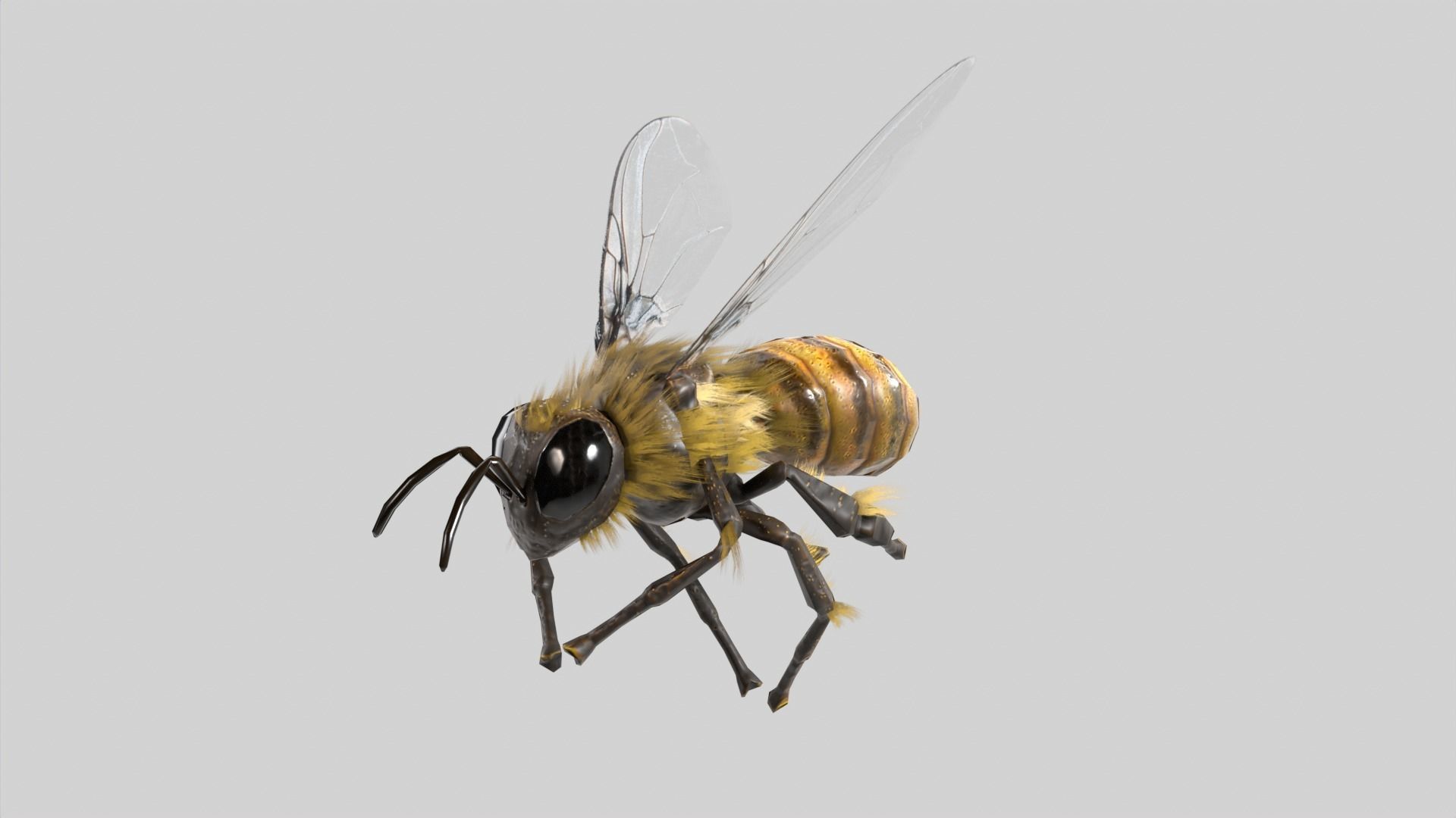Bee lowpoly Low-poly 3D model_8