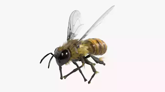 Bee lowpoly Low-poly 3D model