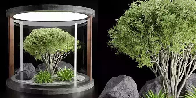 Indoor Garden with Plants collection vol 194-Blender