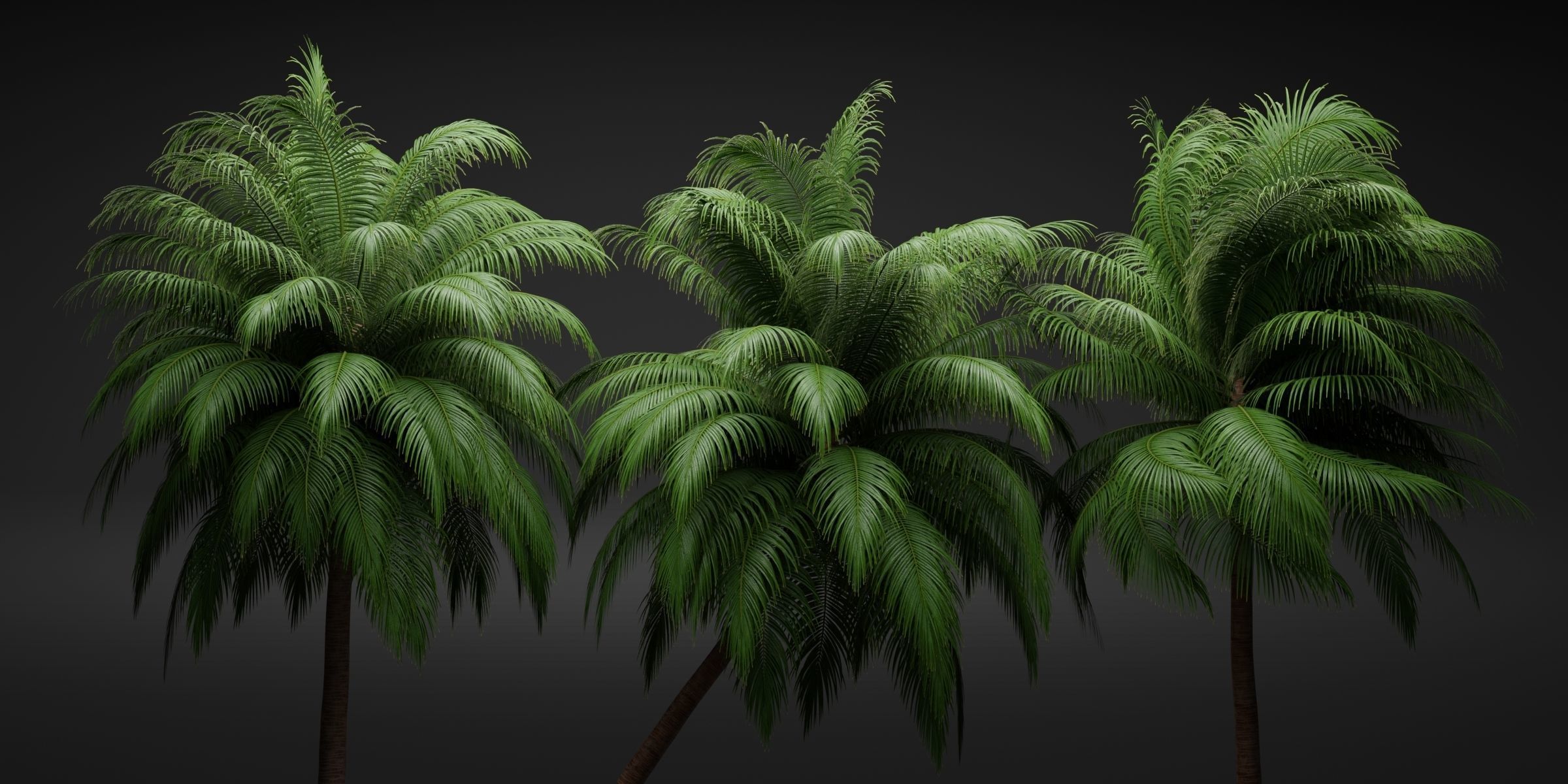 Palm trees collection 195-Blender 3D model_1