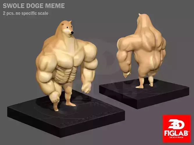 SWOLE DOGE MEME 3D model