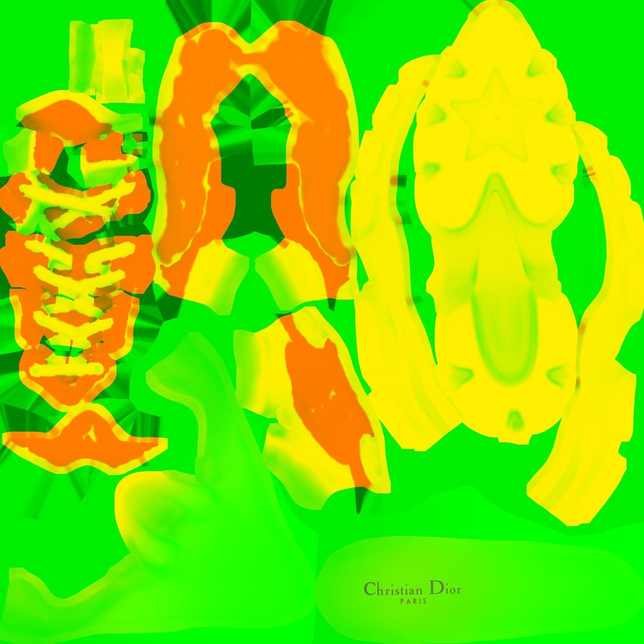 CHRISTIAN DIOR 3D SHOES 3D model_14