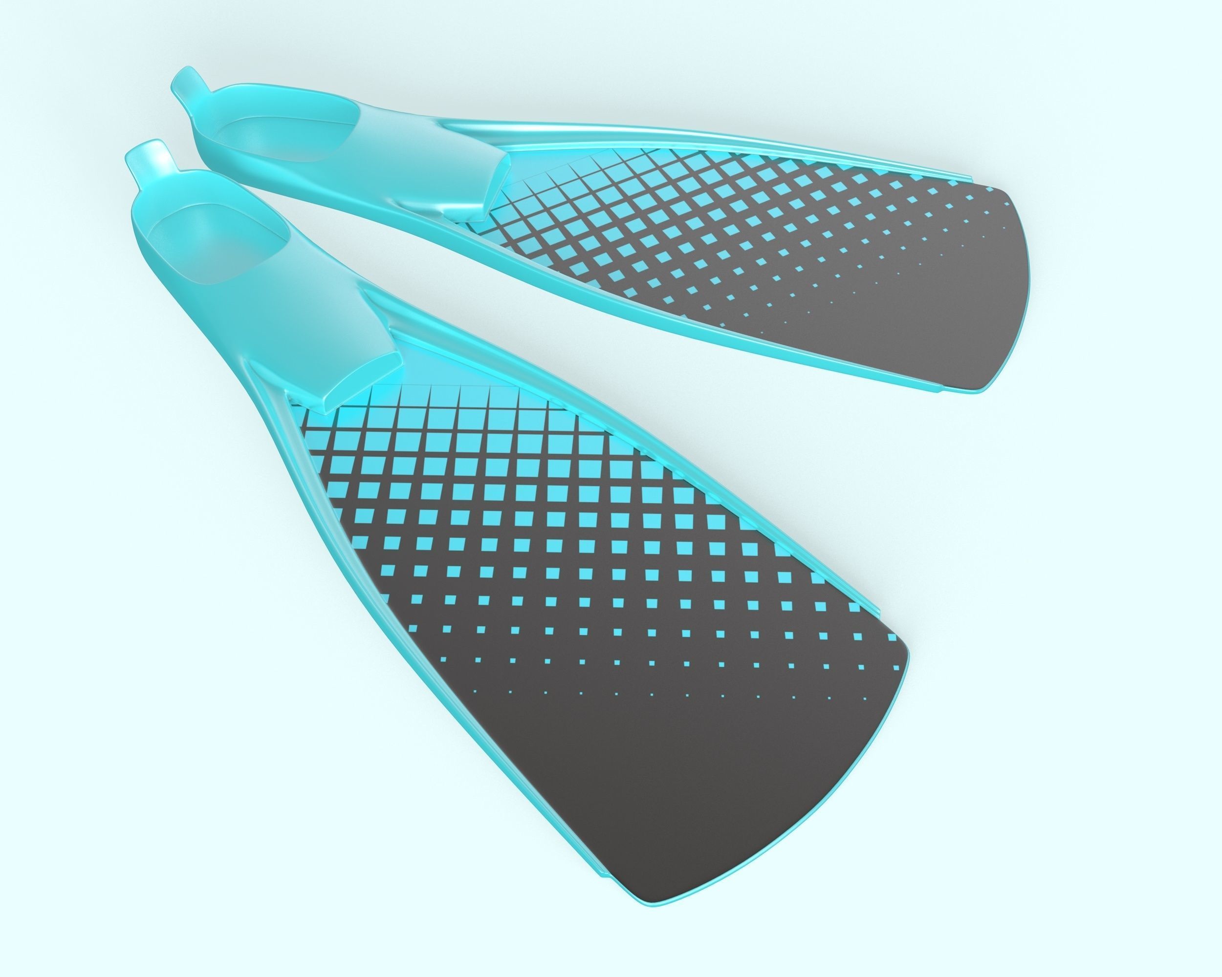 Flippers 3D model_2