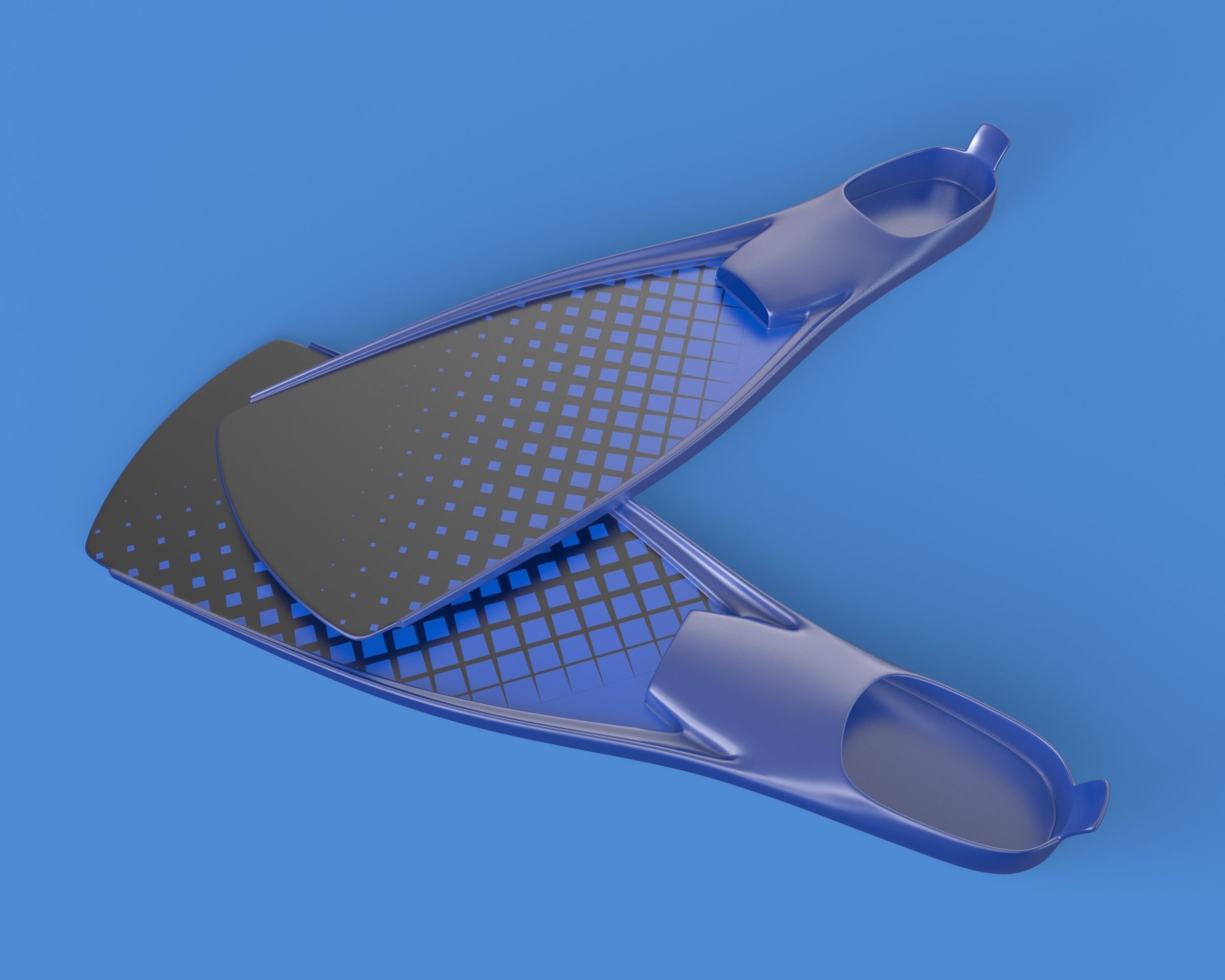 Flippers 3D model_4