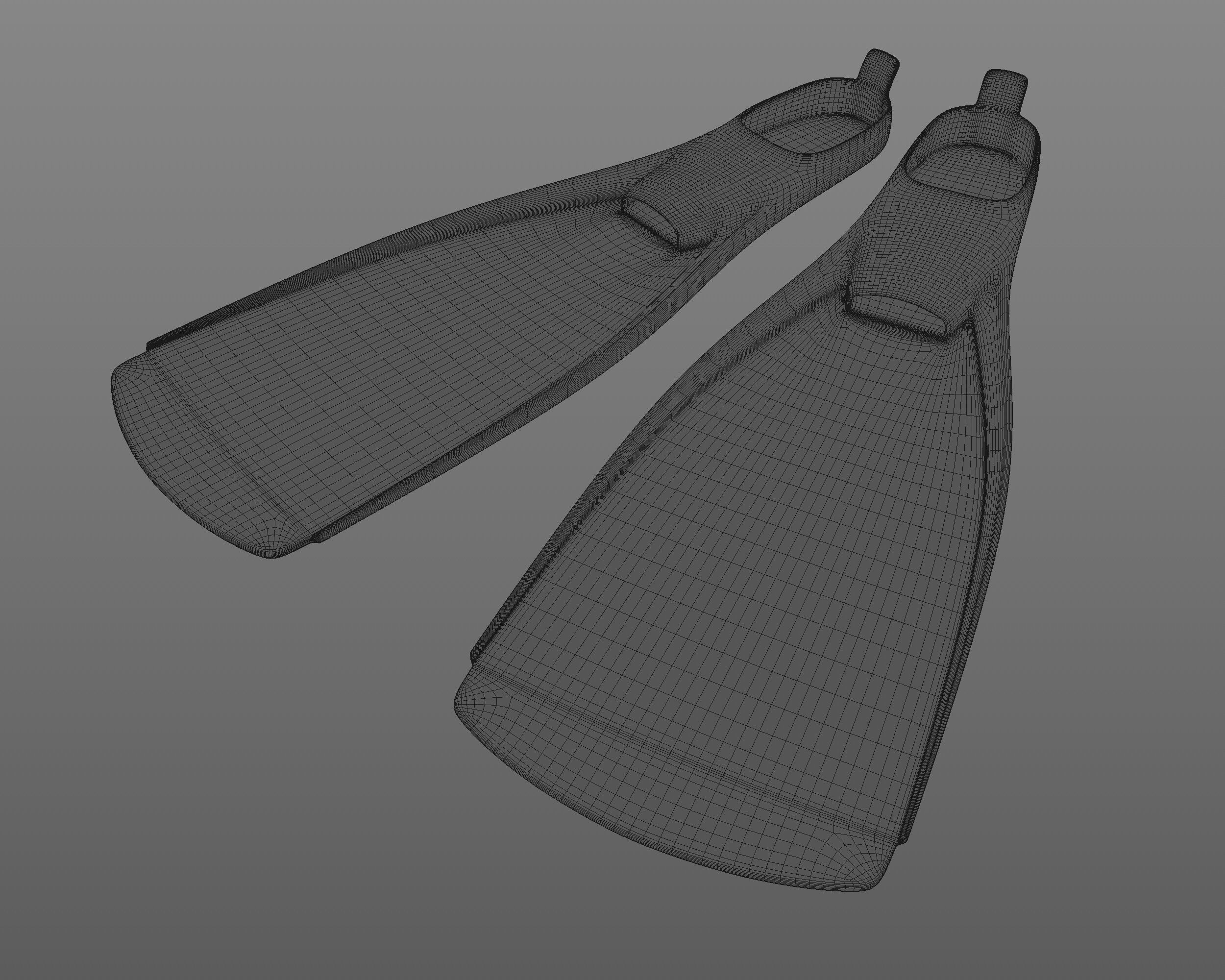 Flippers 3D model_6