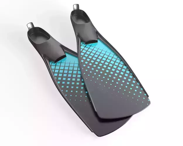 Flippers 3D model