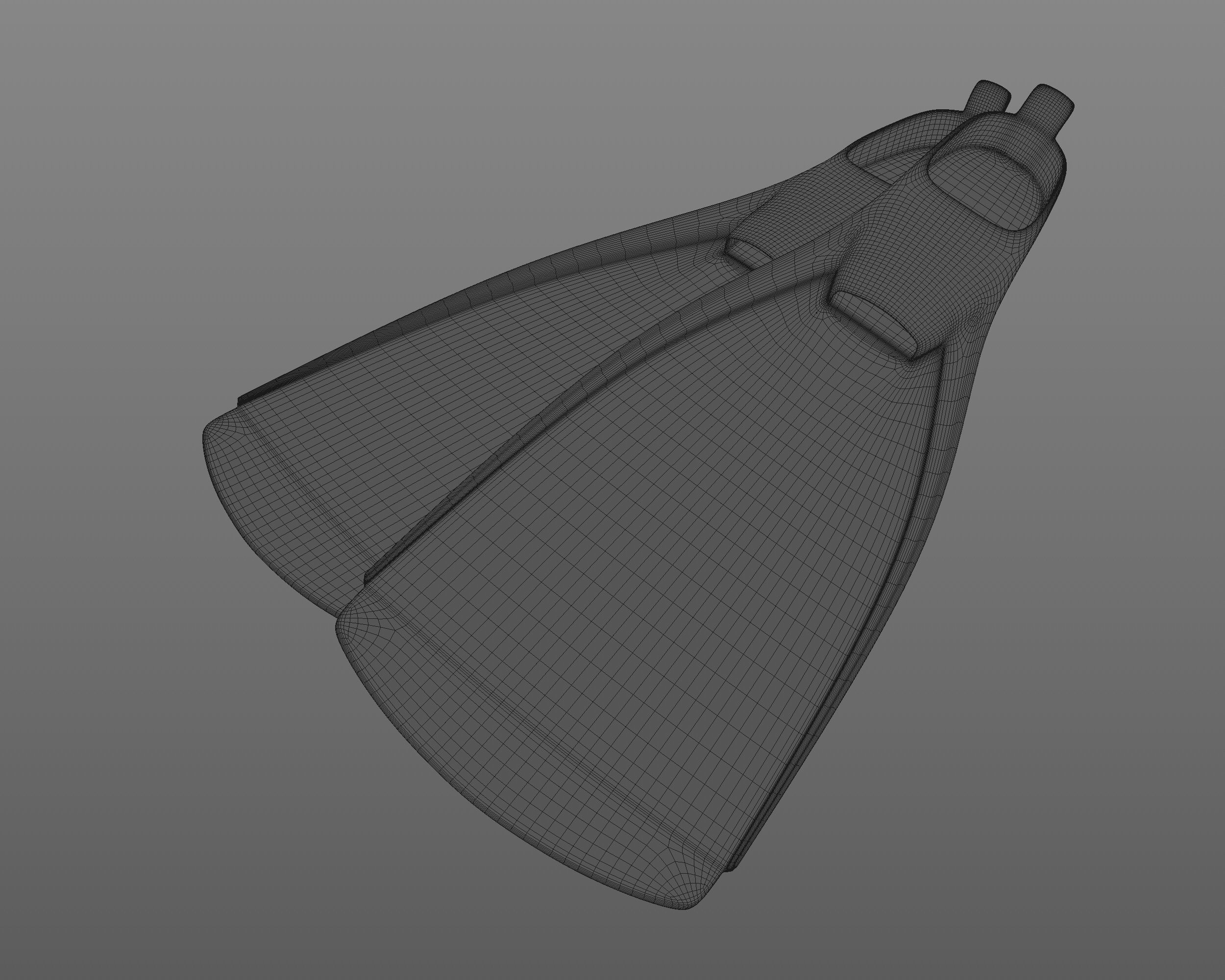 Flippers 3D model_5