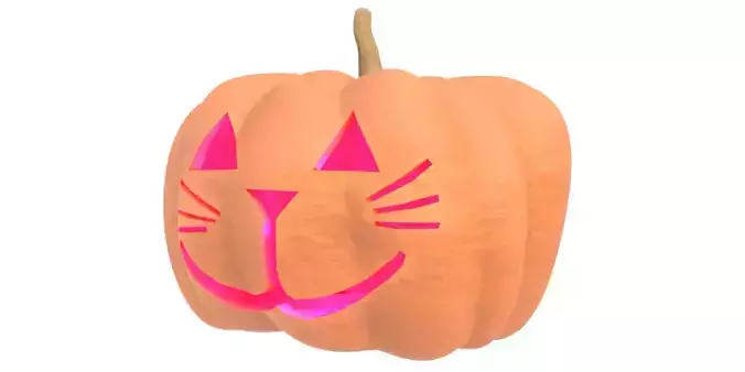 Pumpkin 22 3D model