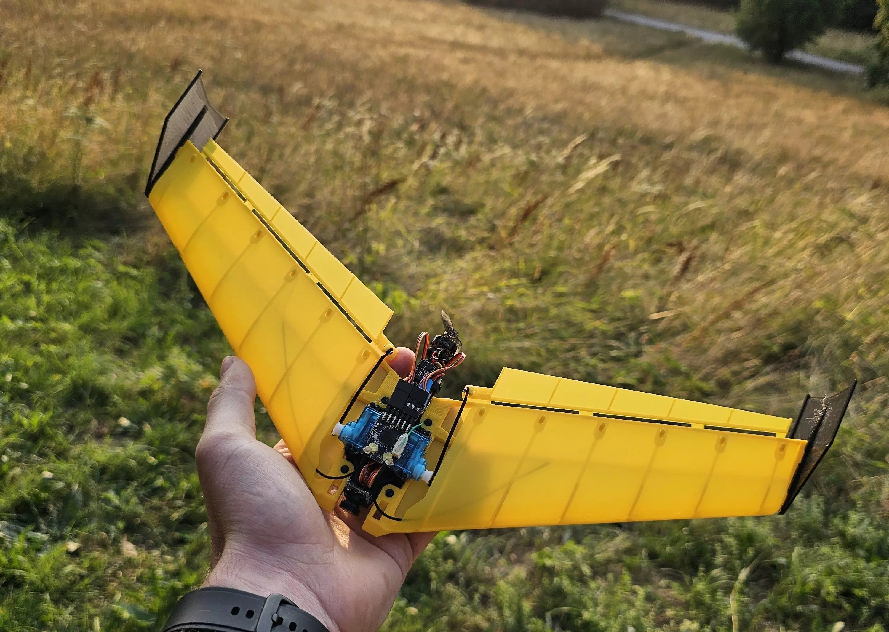 FPV wing Racer 3D print model