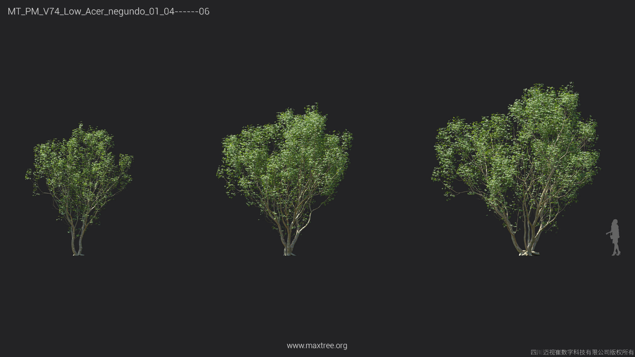 Maxtree Plant Models Vol 74 Low Poly - Mesh 3D model_9