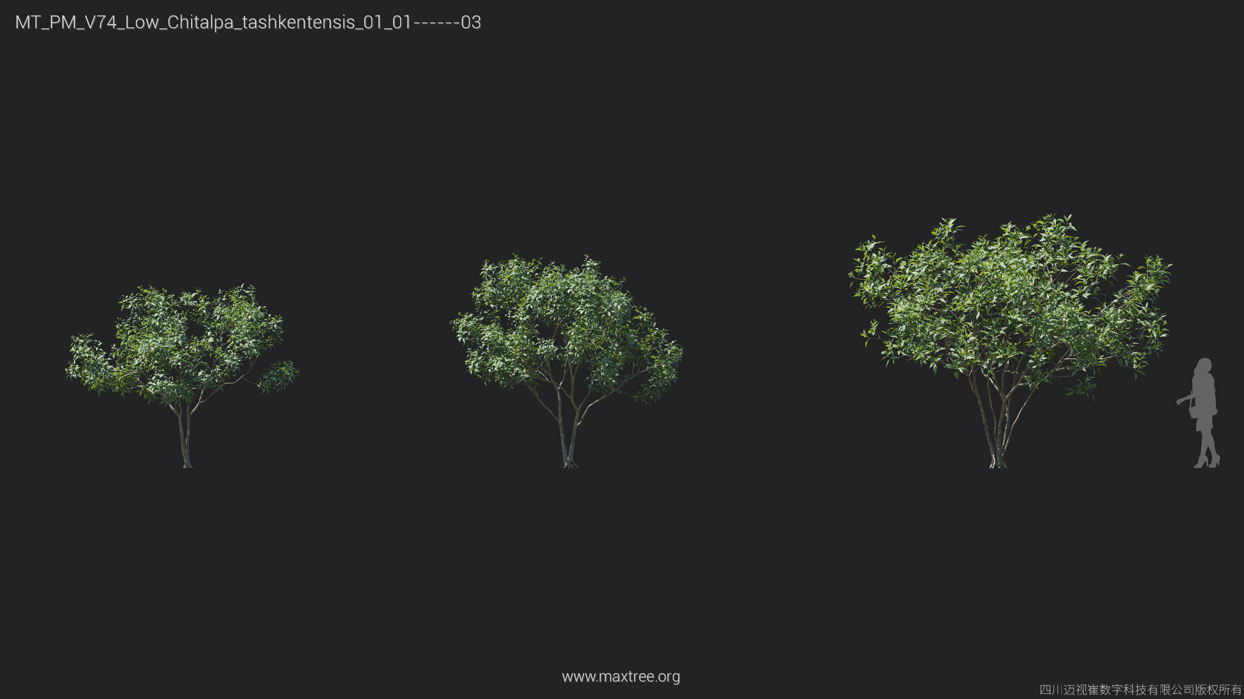 Maxtree Plant Models Vol 74 Low Poly - Mesh 3D model_8