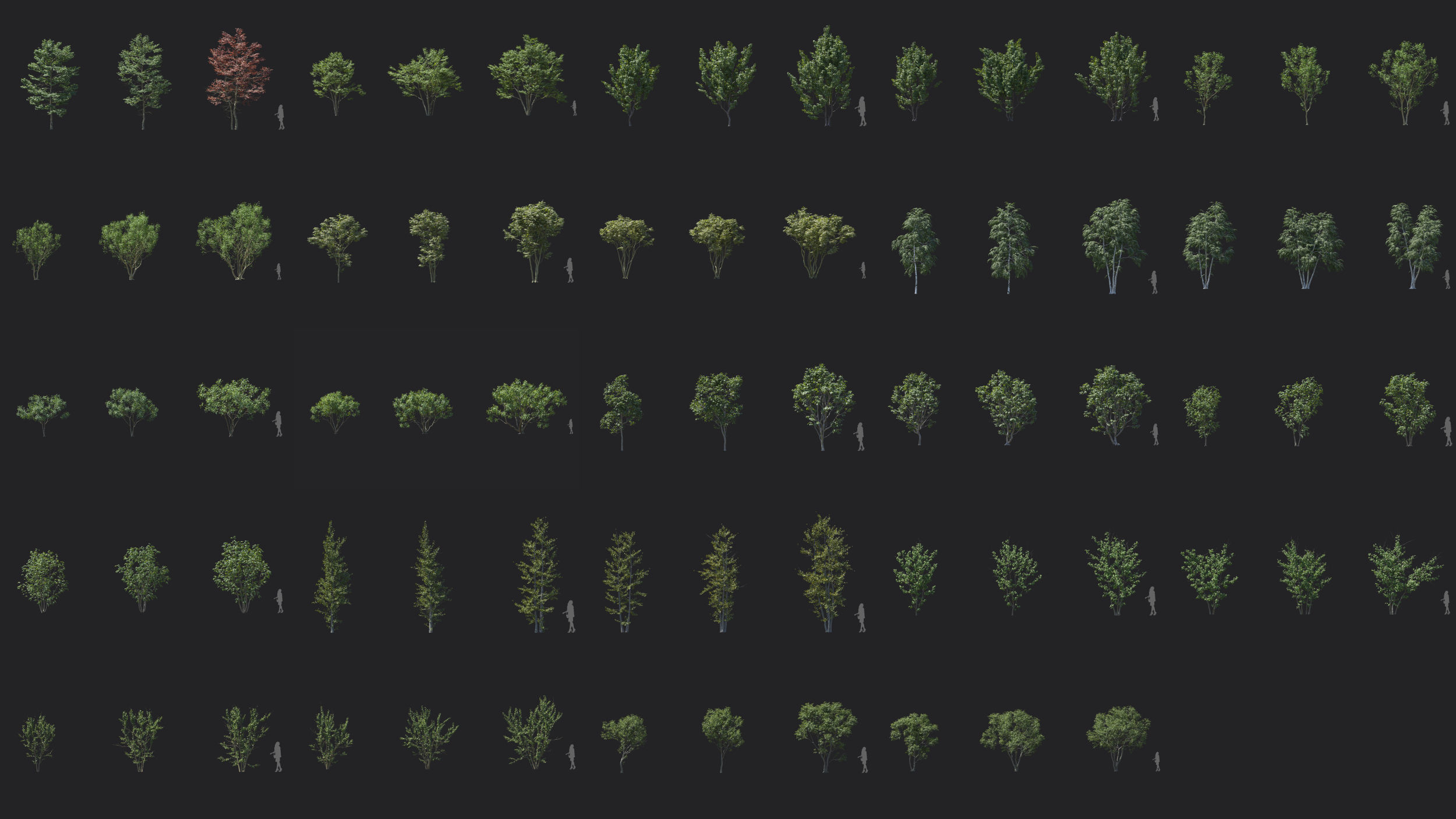 Maxtree Plant Models Vol 74 Low Poly - Mesh 3D model_2