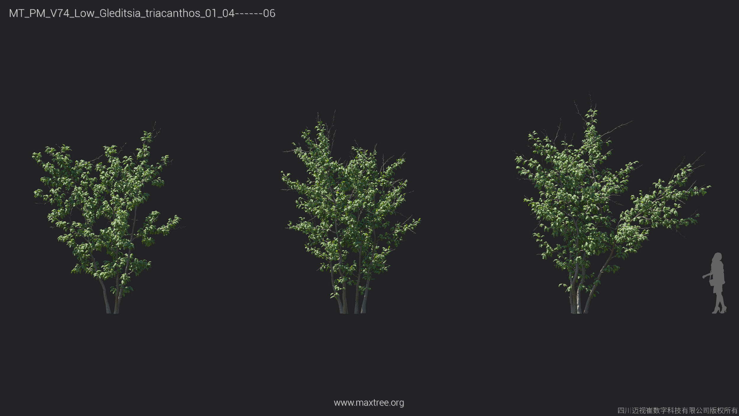 Maxtree Plant Models Vol 74 Low Poly - Mesh 3D model_22