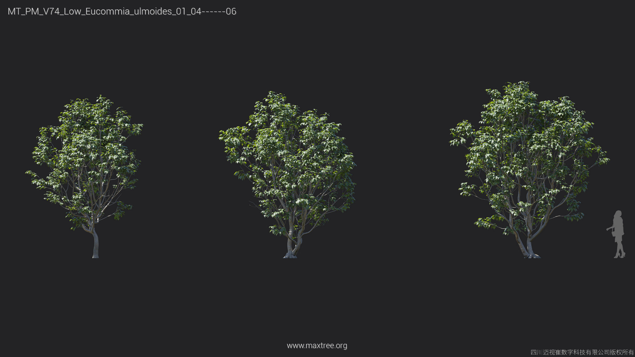 Maxtree Plant Models Vol 74 Low Poly - Mesh 3D model_16